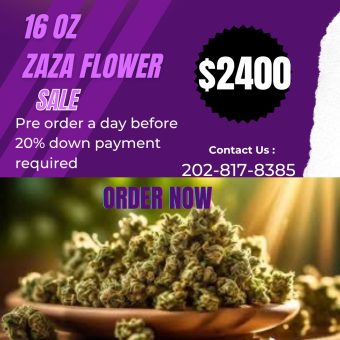 16 0Z ZAZA FLOWER